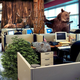 Sources say Yosemite National Park is adjusting well so far to its tighter temporary office space.